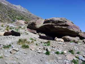 Speed Star 1.1394466  00